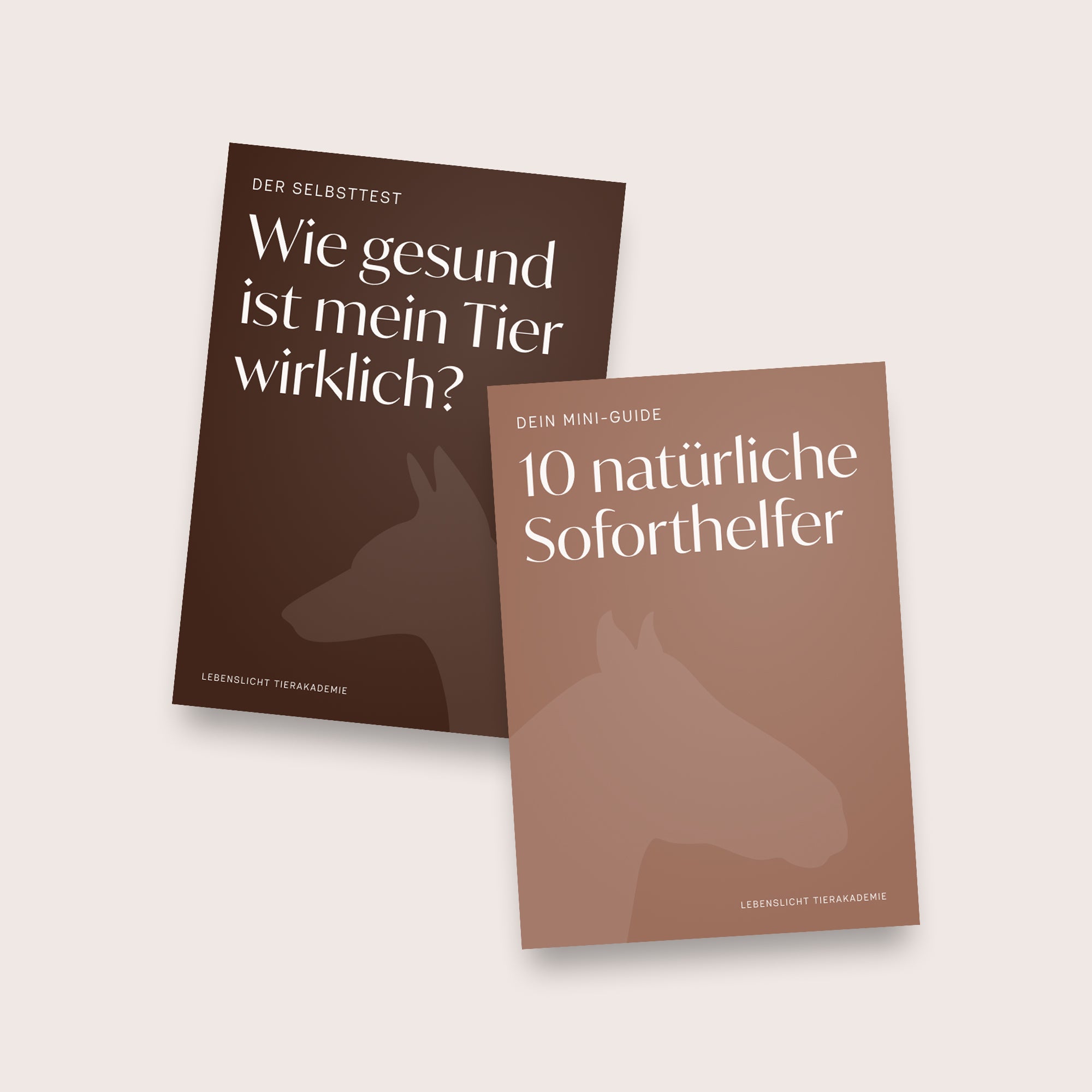 Mini-Guide inkl. Selbsttest für Dich und Dein Tier