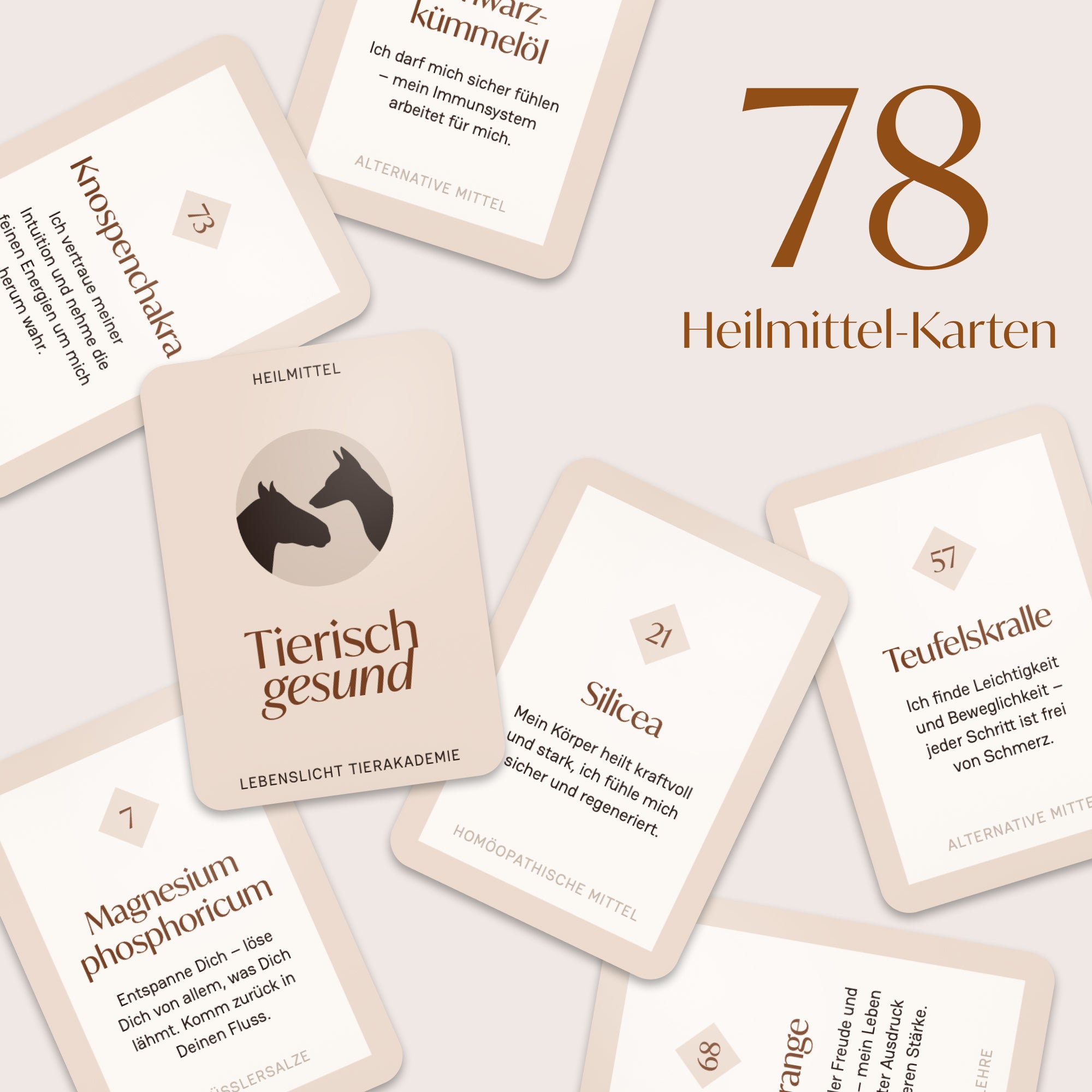 Kartenset »Tierisch gesund«