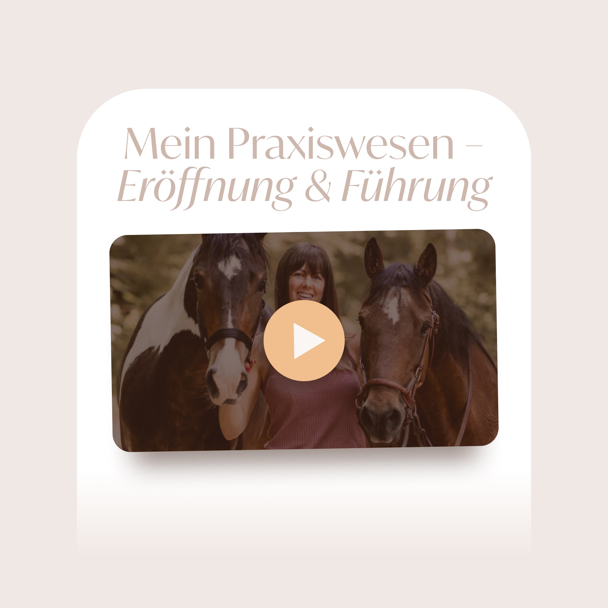 Mein Praxiswesen – Eröffnung und Führung