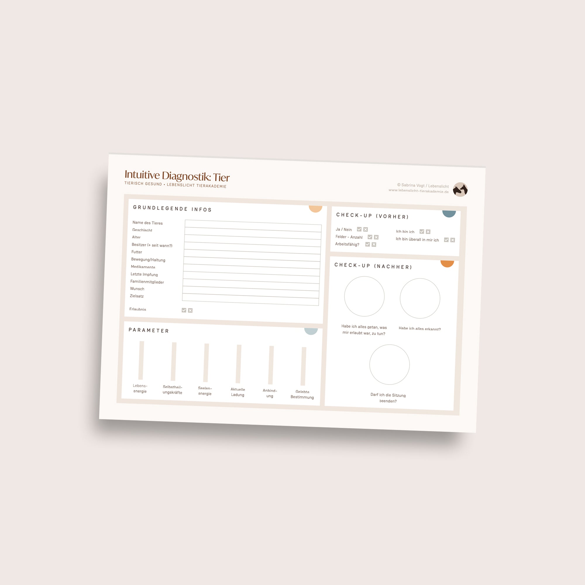Lebenslicht Tier-Diagnostikbogen