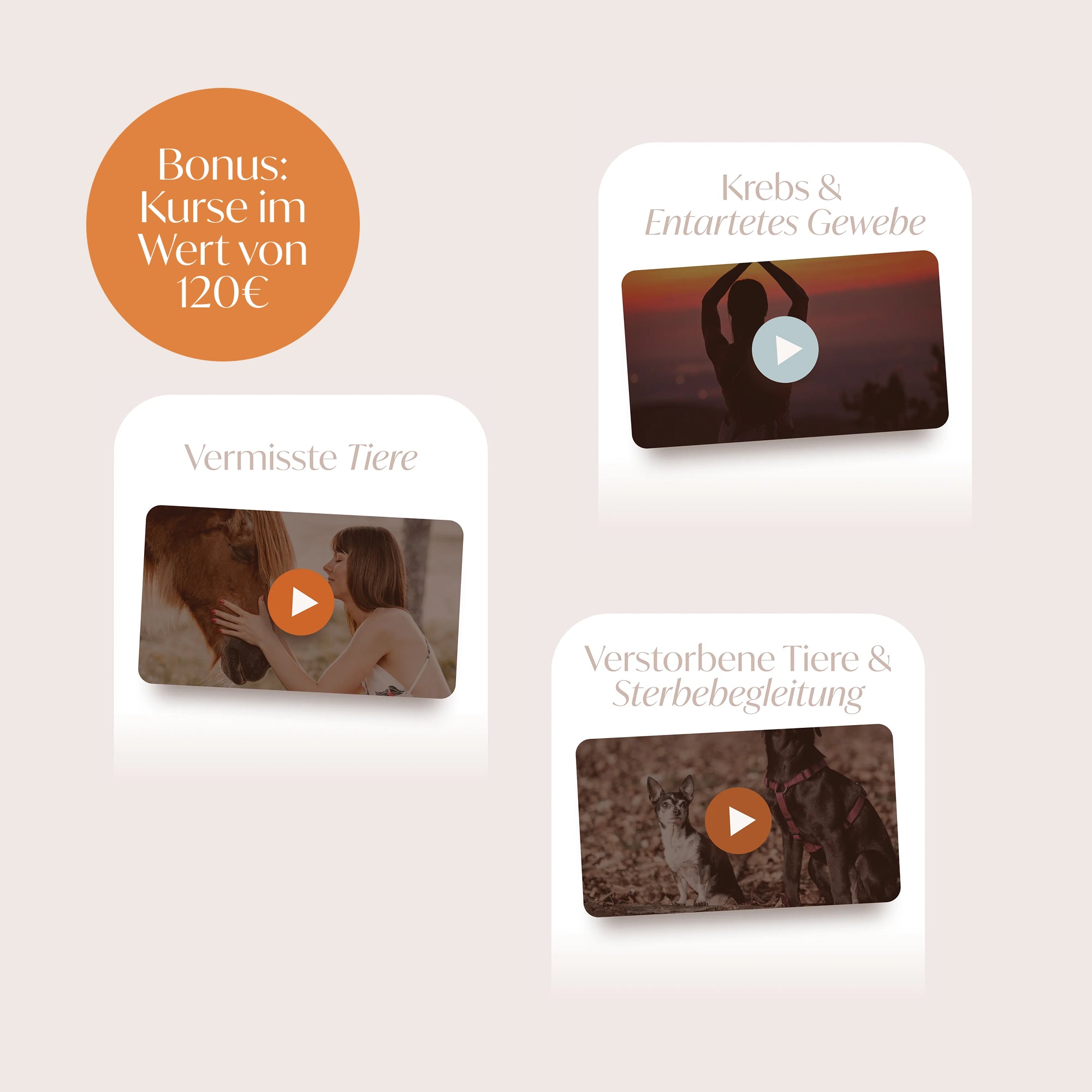 Tierisch gesund: Mein gesundes Tier