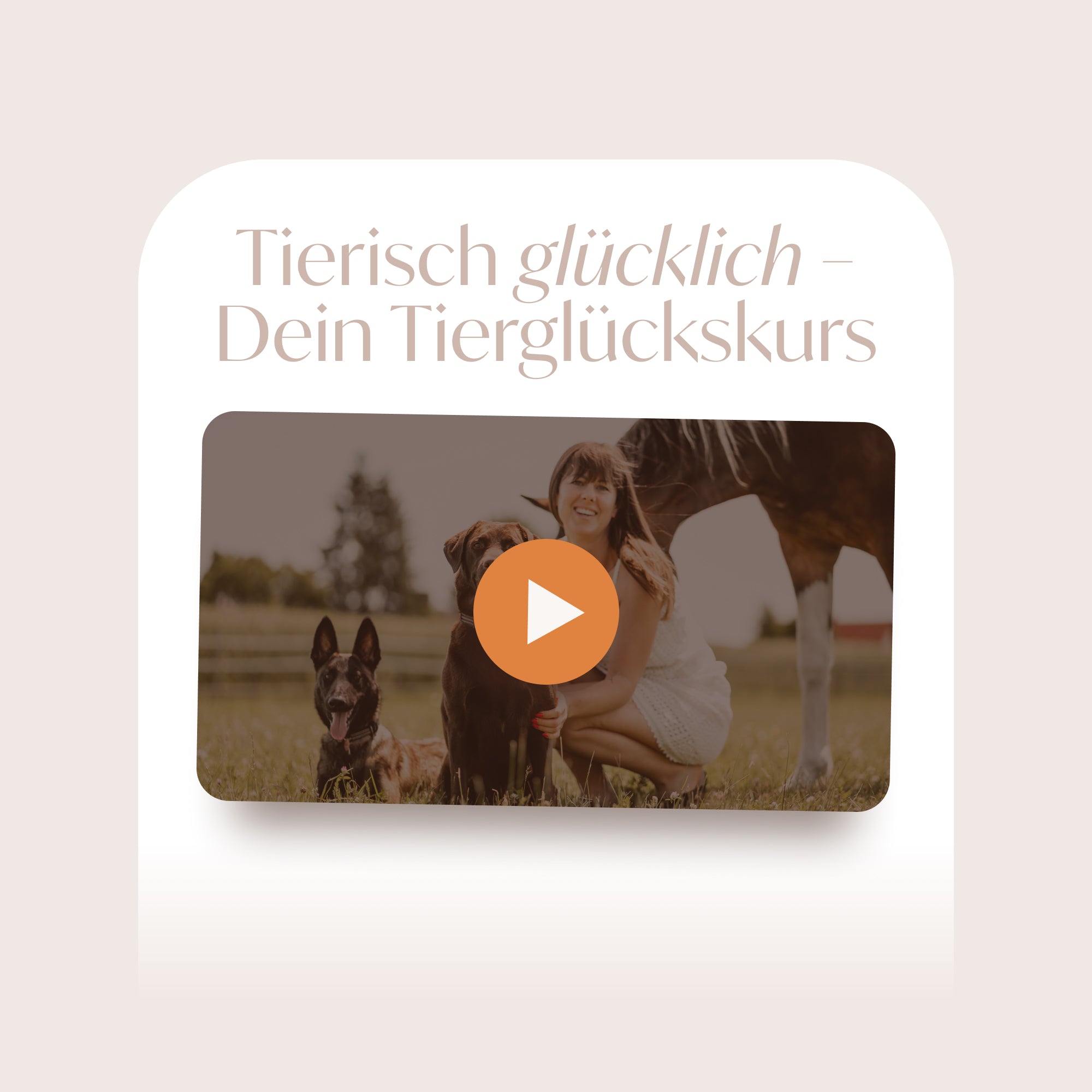 Tierisch glücklich: Mein glückliches Tier