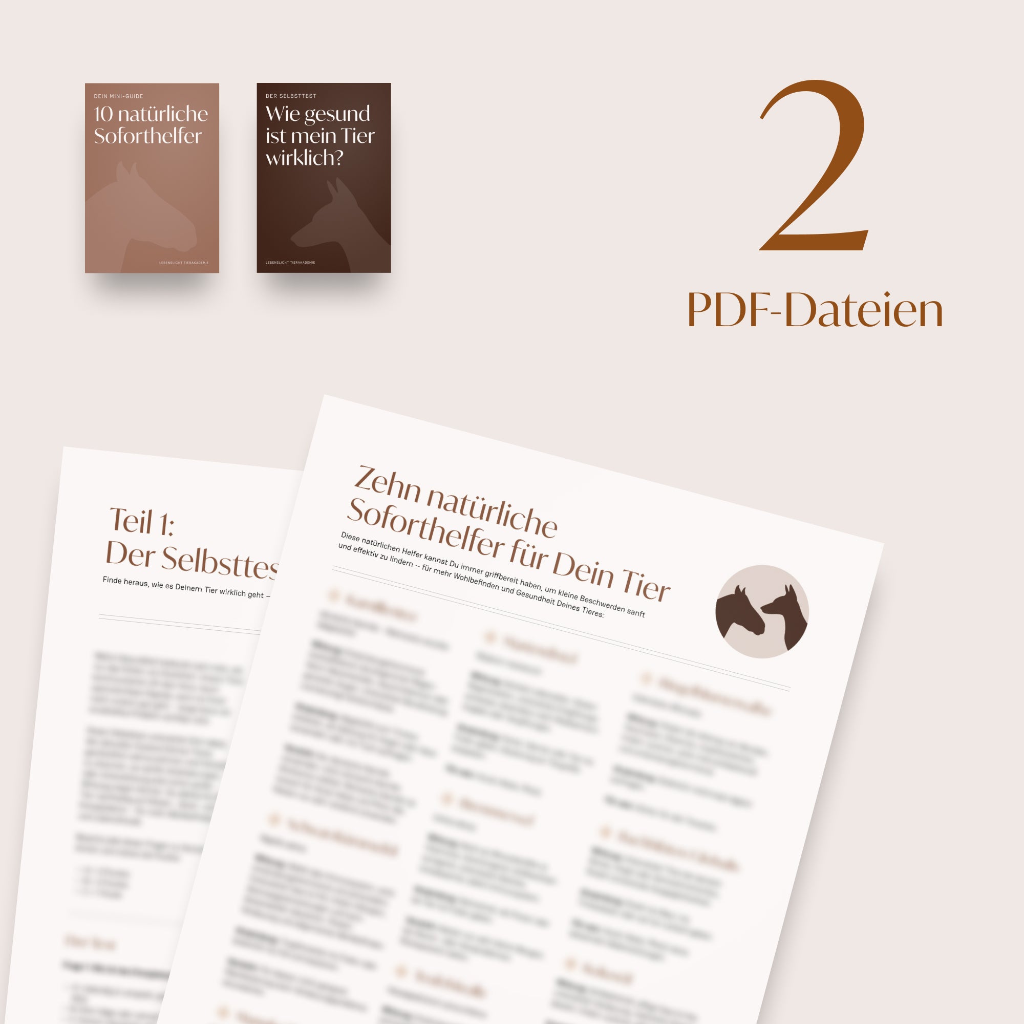 Mini-Guide inkl. Selbsttest für Dich und Dein Tier
