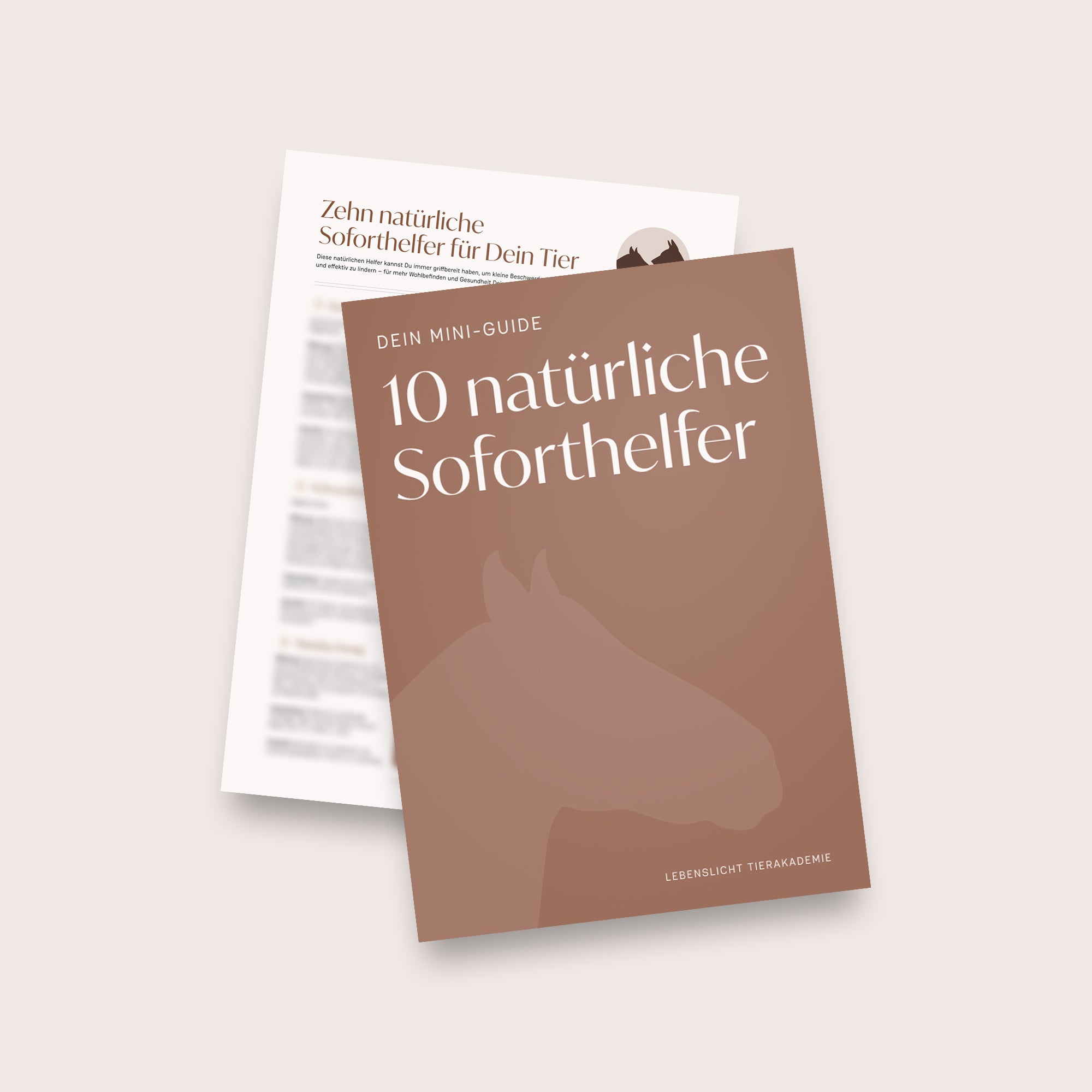 Mini-Guide inkl. Selbsttest für Dich und Dein Tier