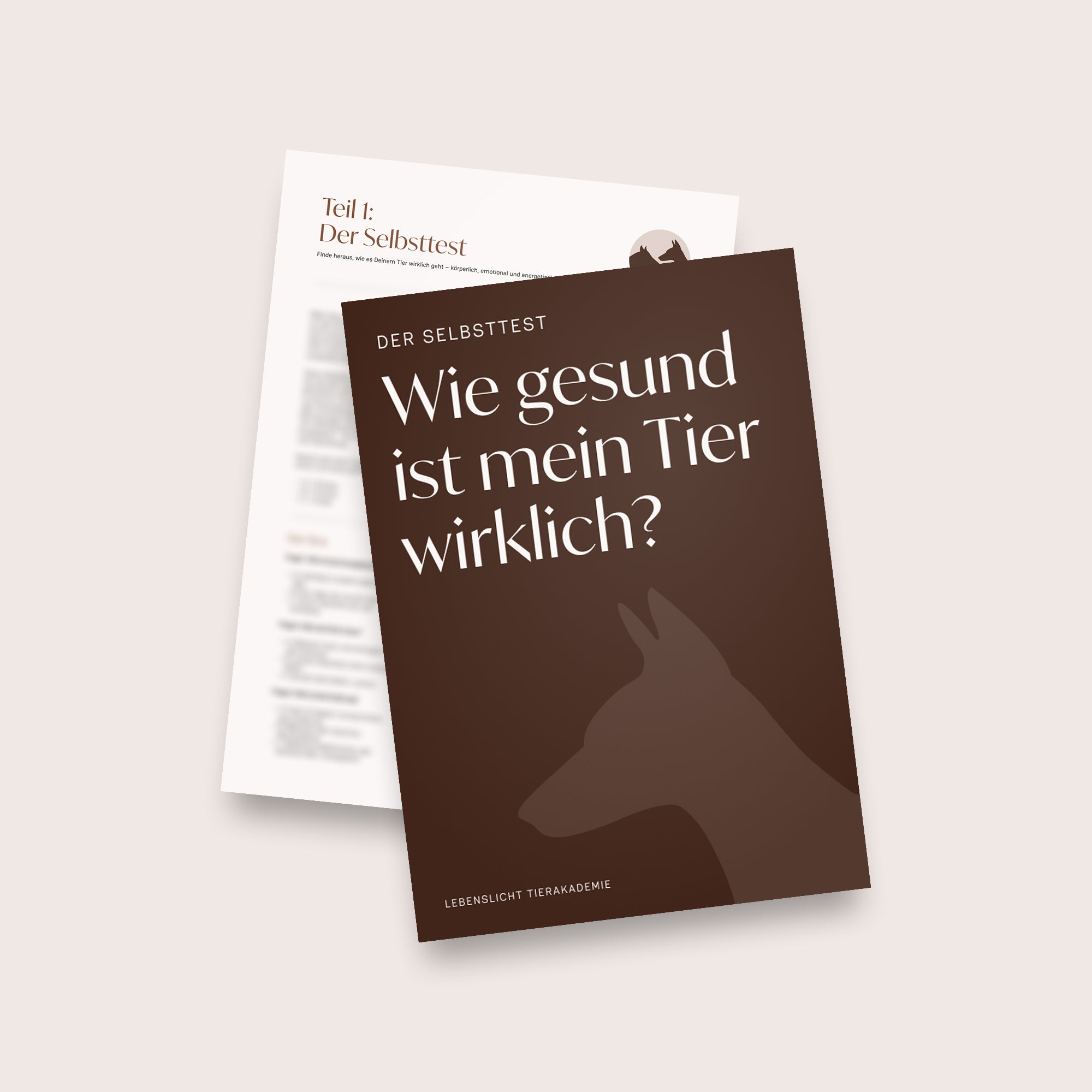 Mini-Guide inkl. Selbsttest für Dich und Dein Tier